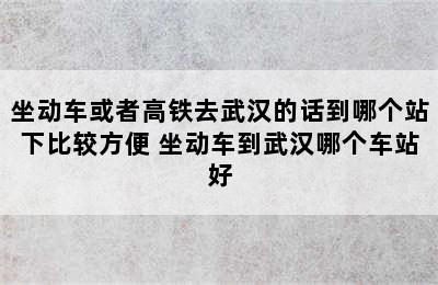 坐动车或者高铁去武汉的话到哪个站下比较方便 坐动车到武汉哪个车站好